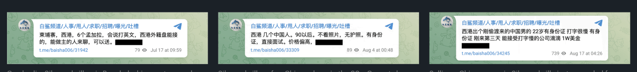 揭秘“杀猪盘”大本营，偷渡的中国人被标价公开贩卖，被迫成为骗子（202220915）-传媒精选社区-里世界-人文百科